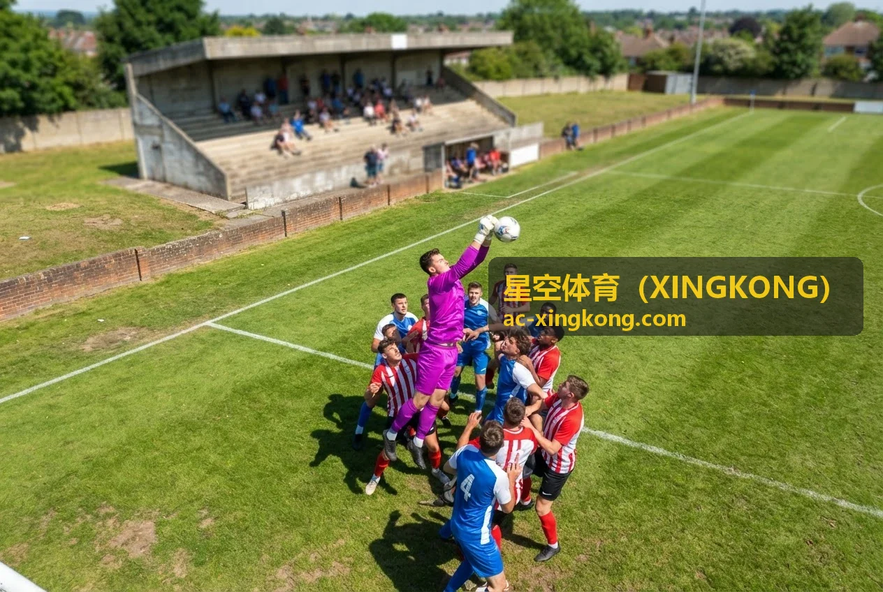 星空体育技术平台架构